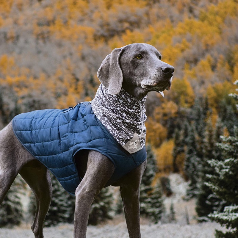 Foulard pour chien Kurgo Scruff