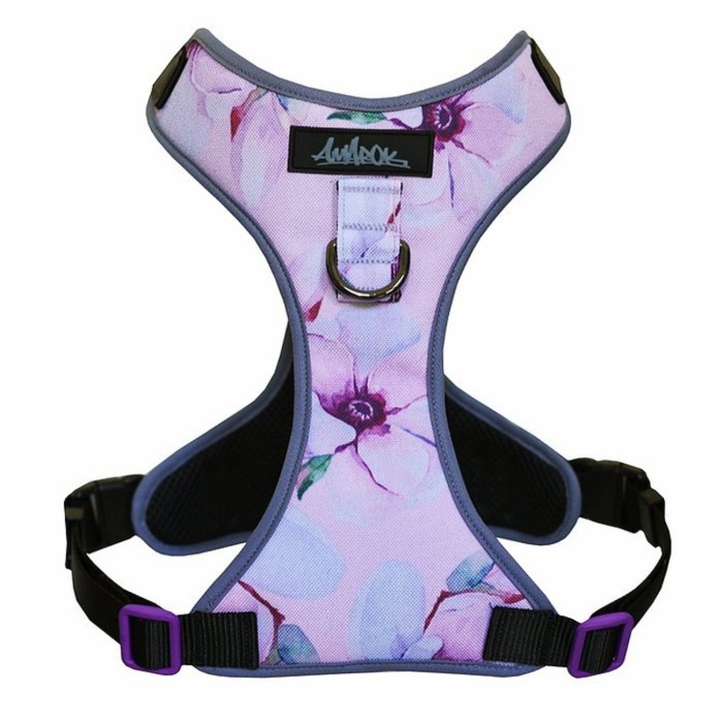 Harnais Myosotis pour chien - Amarok