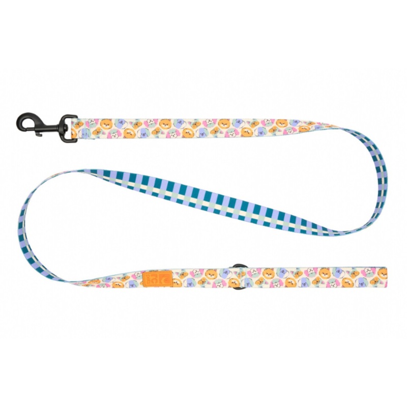 Laisse cologique pour chiens Rc moti-chien