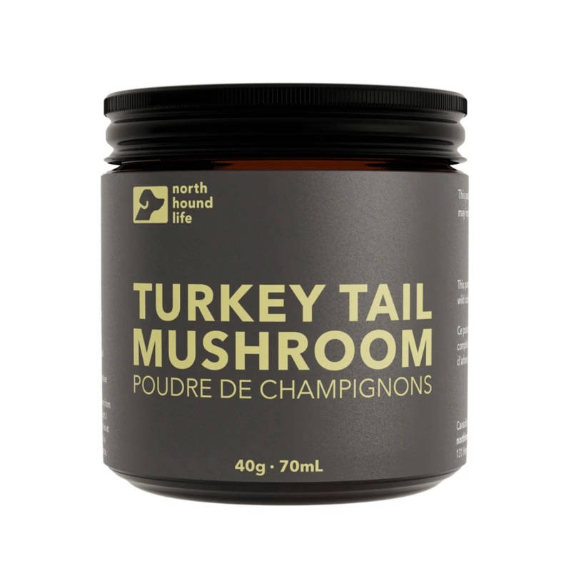 Poudre de champignon Turkey Tail