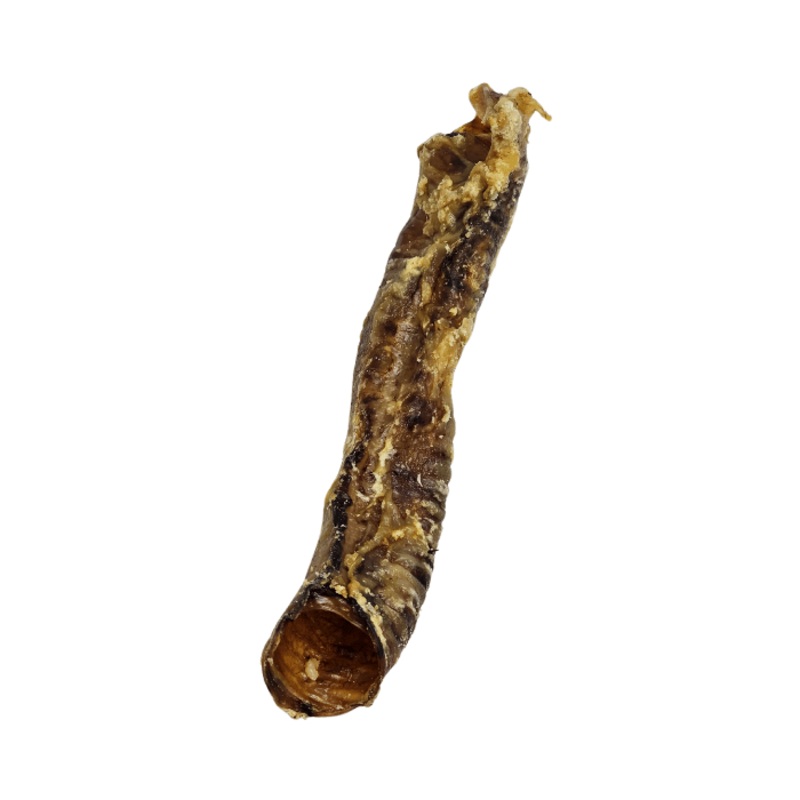 Trache d'agneau 5  7''