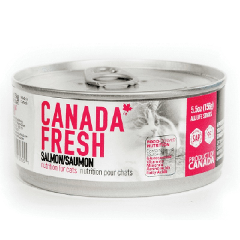 Nourriture humide pour chat canada fresh au saumon