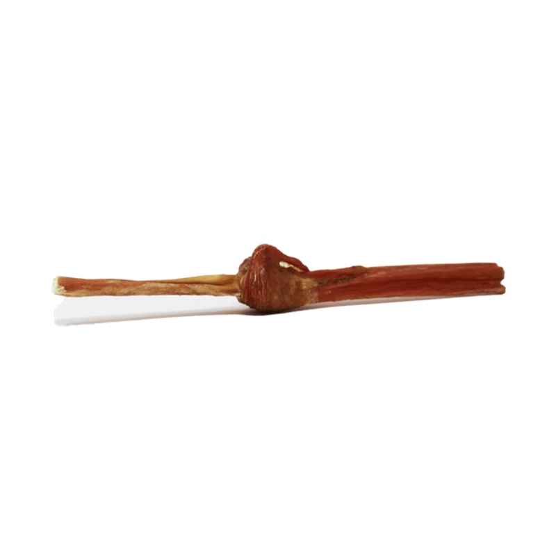 Bully sticks jr bladder 12''