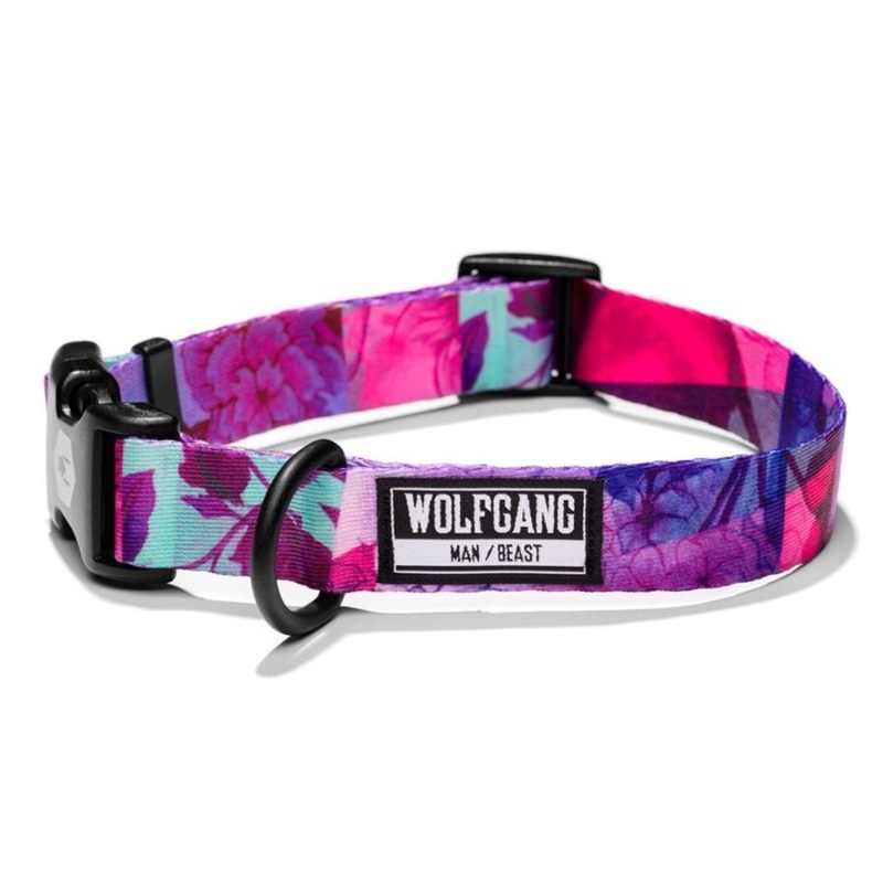 Collier pour chiens DayDream