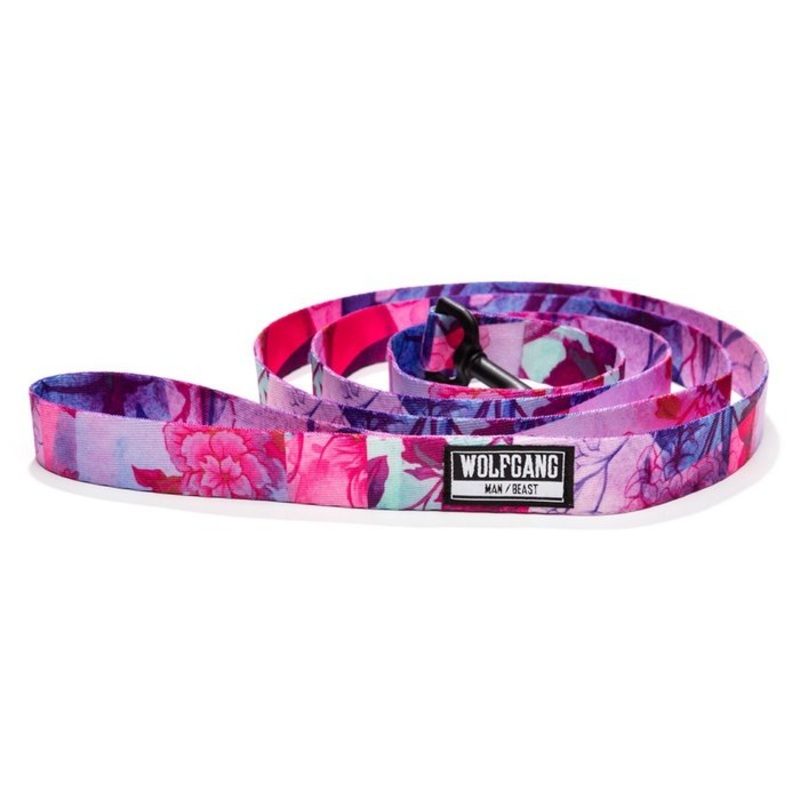 Laisse pour chiens DayDream