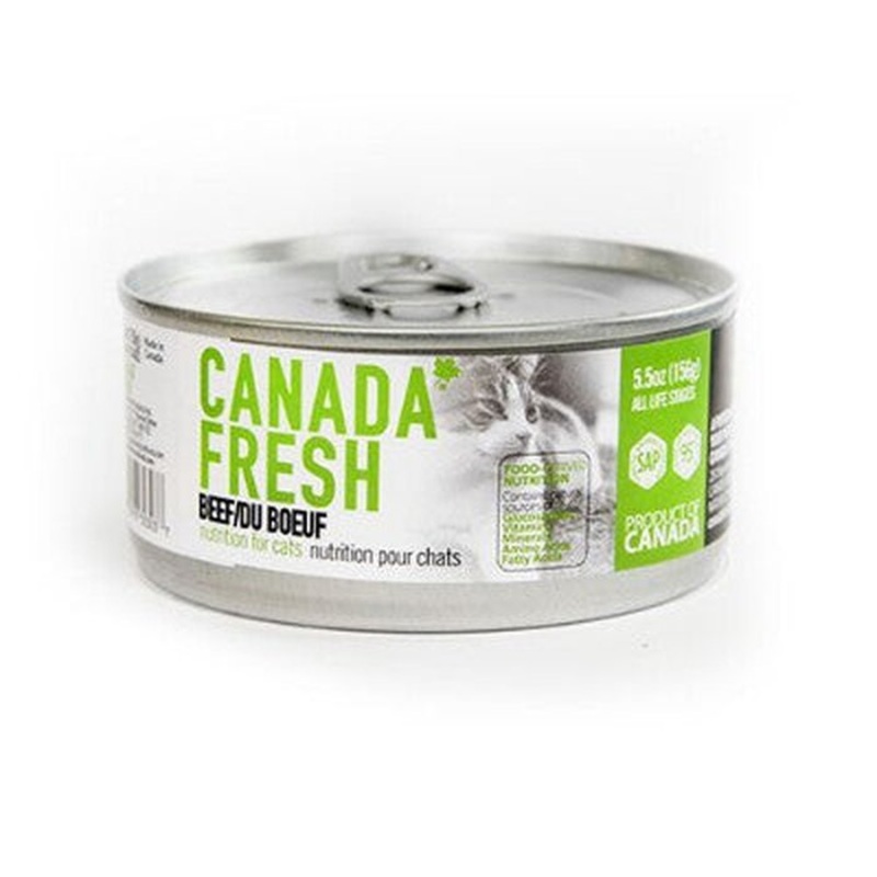 Nourriture humide pour chat canada fresh au boeuf