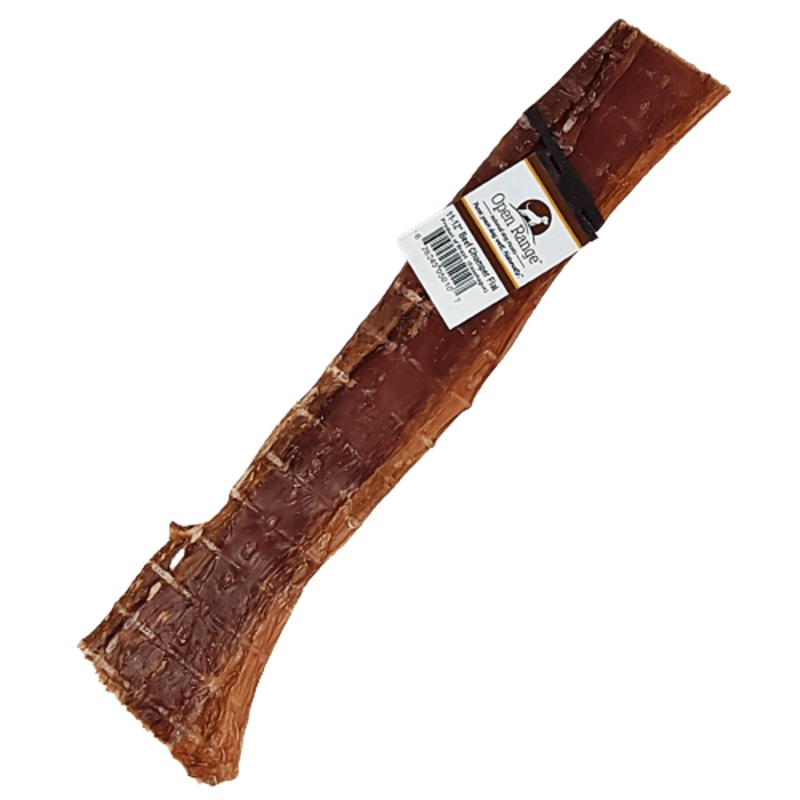 Chomper de boeuf aplati - gteries pour chiens