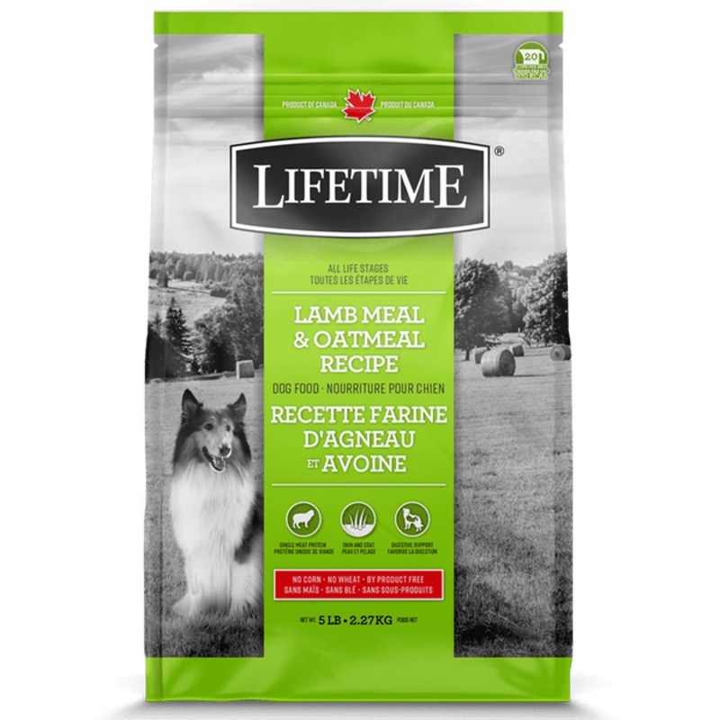 Nourriture pour chiens Lifetime Agneau & Avoine