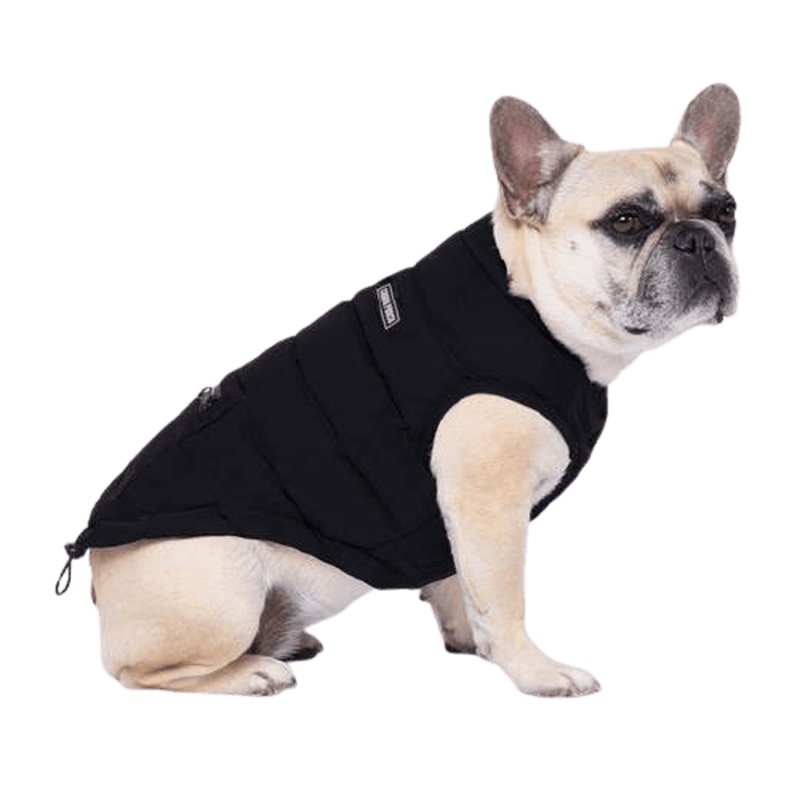 Veste pour chien Ultimate Stretch - Liquidation - Vente Finale