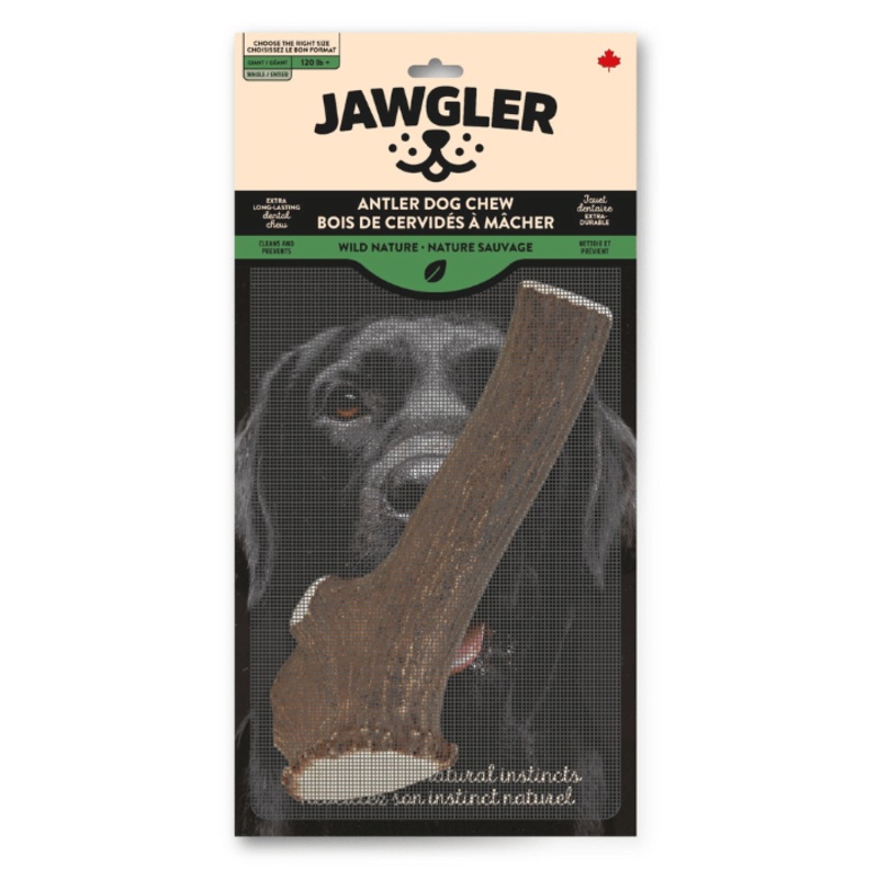 Bois de cerf Dentler entier / Jawgler