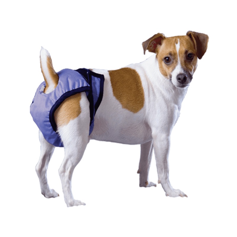 Couche rutilisable pour chiens