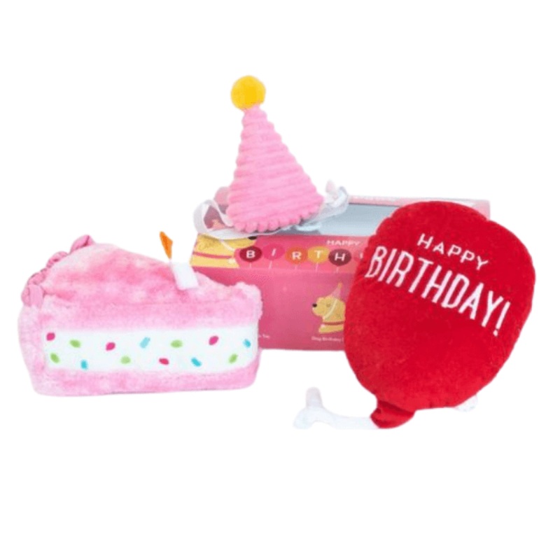 Jouet pour chien - Bote anniversaire