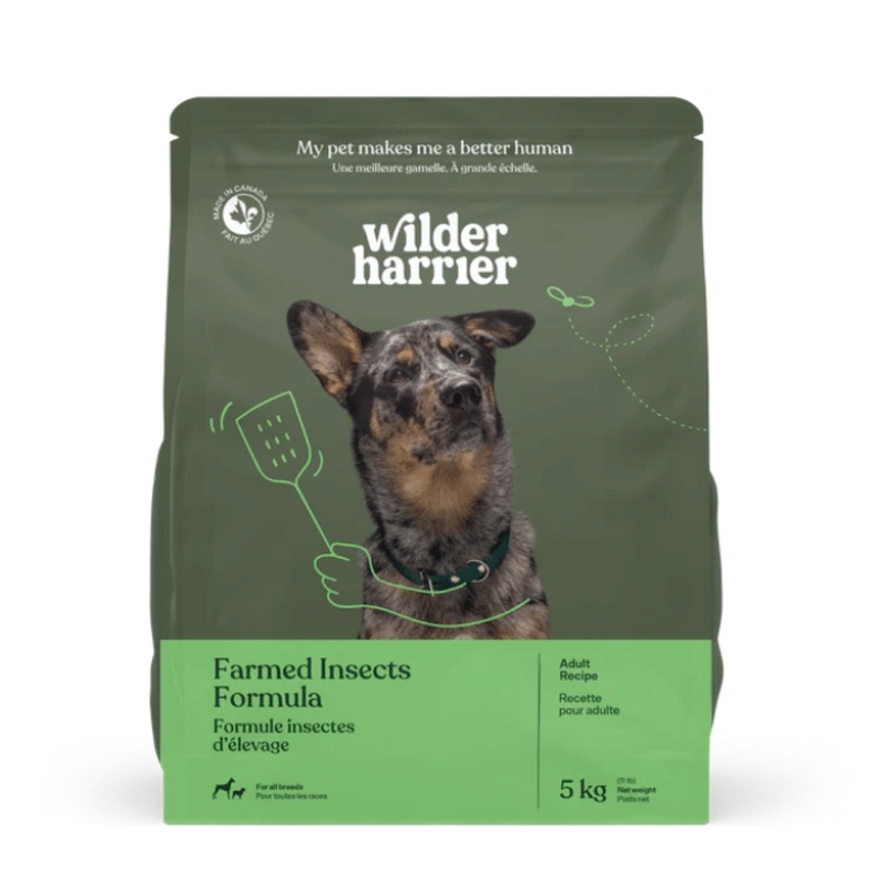 Nourriture pour chiens Recette insectes d'levage