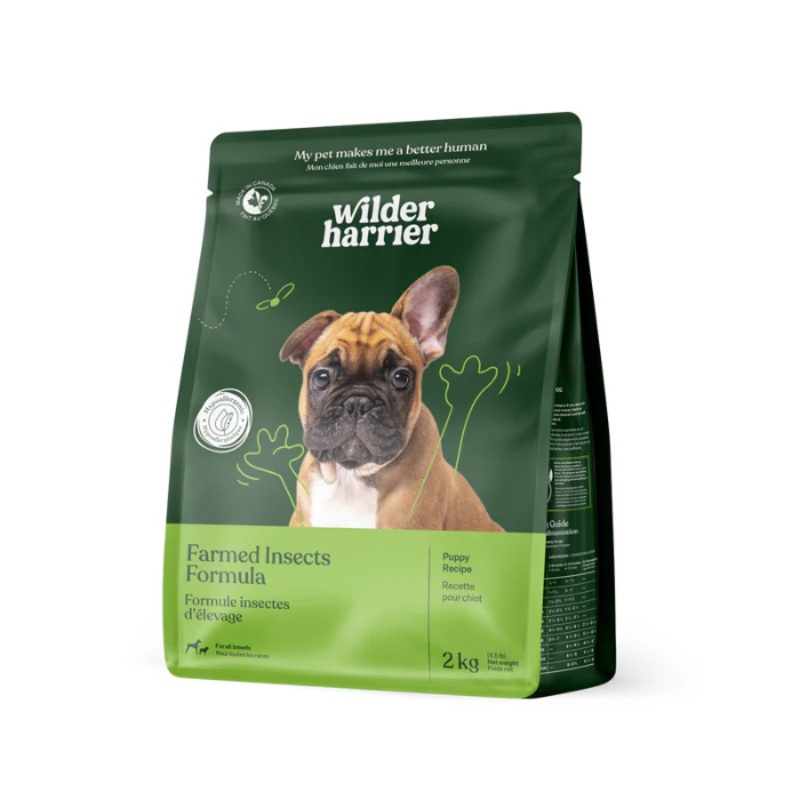 Nourriture pour chiots Recette insectes d'levage