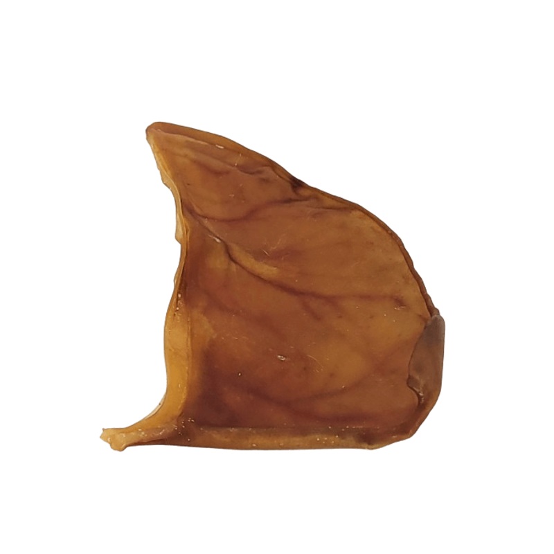Oreille de porc  mcher Open Range