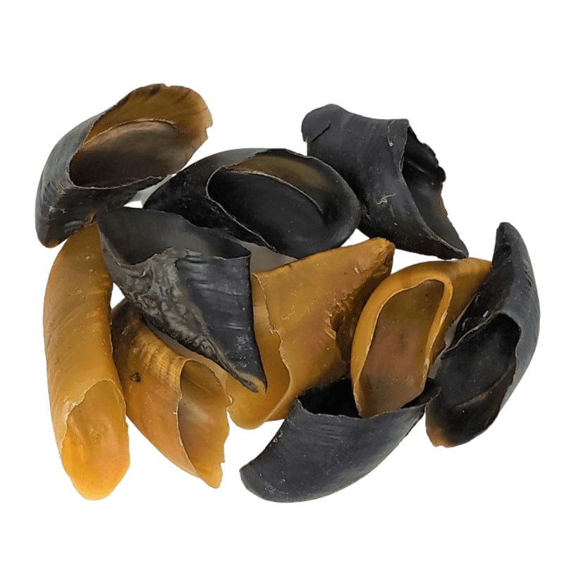 Sabot de boeuf - Paquet de 10