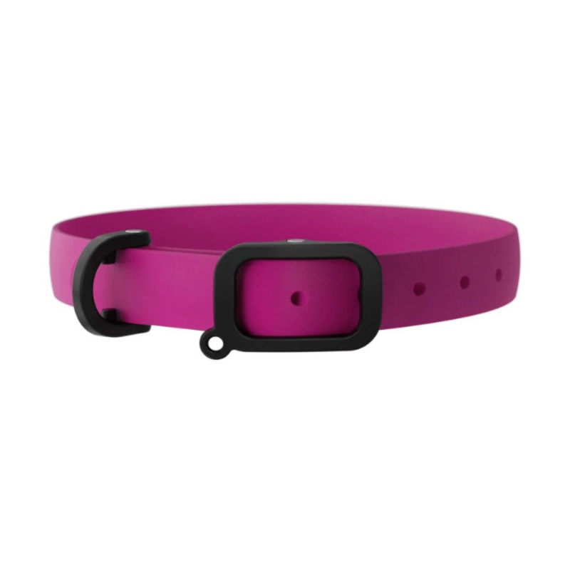 Collier impermable et ultralger pour chien - Rose framboise
