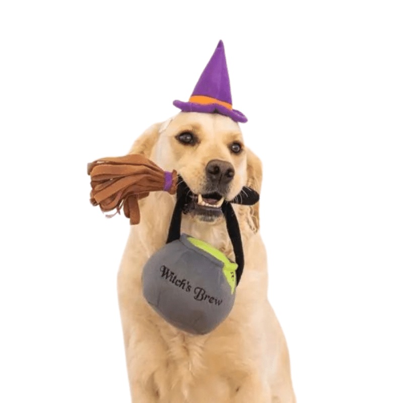 Costume d'halloween - Sorcire