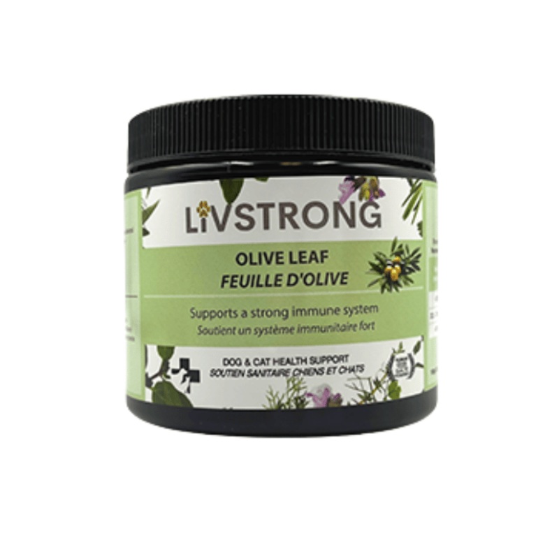 Feuille d'olive en poudre 100g
