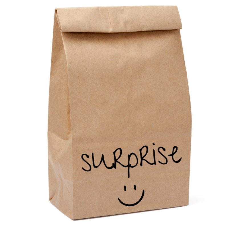 Sac  Surprise Pour Votre Chien