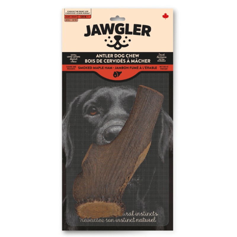 Bois de cerf Dentler entier - jambon fum  l'rable / Jawgler