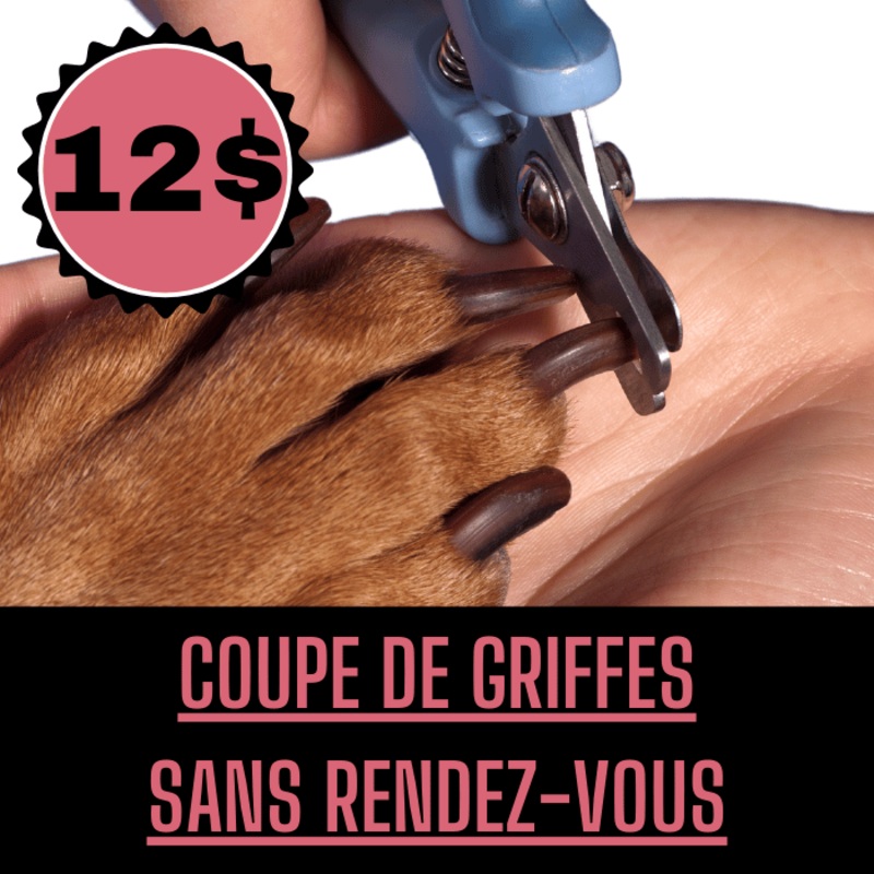 Coupe de griffes