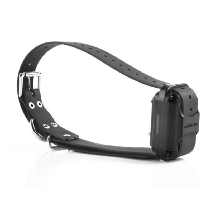 Rcepteur RX-120 pour Ecollar