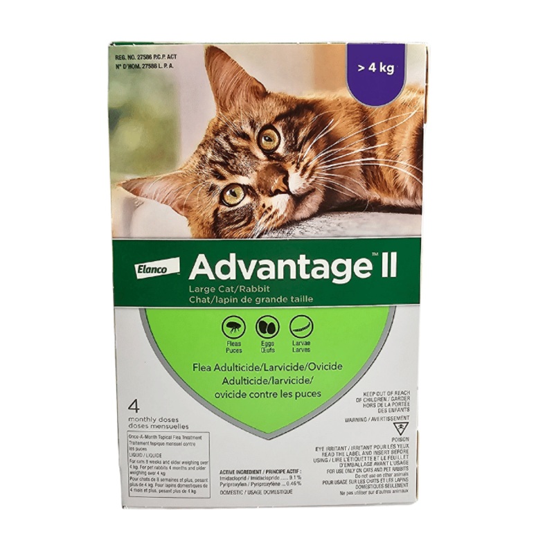 Advantage II pour chat 4 dose