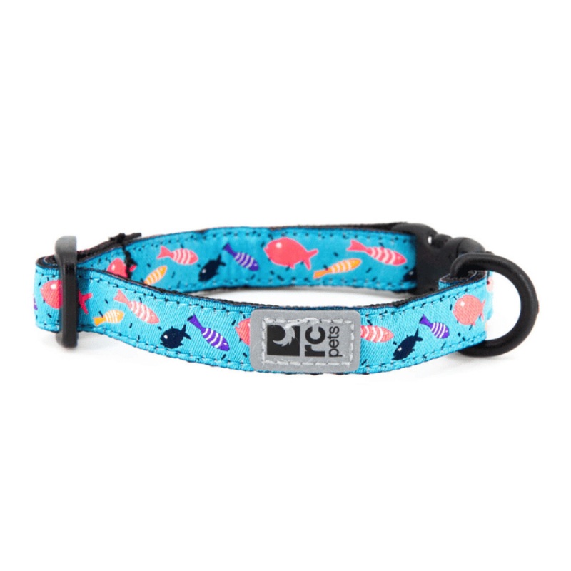 Collier pour chat Rc pets Kitty Breakaway