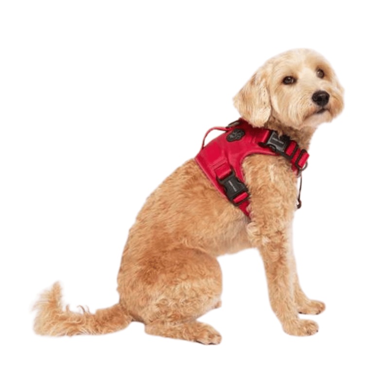 Harnais de contrle complet Canada Pooch