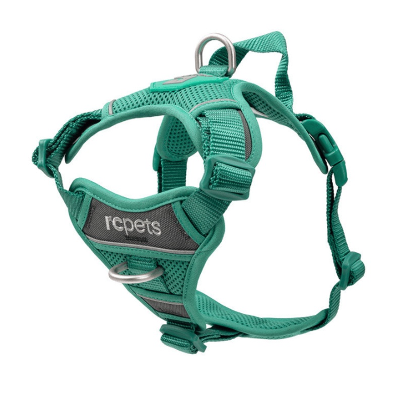 Harnais Rc Pets Momentum - Parakeet