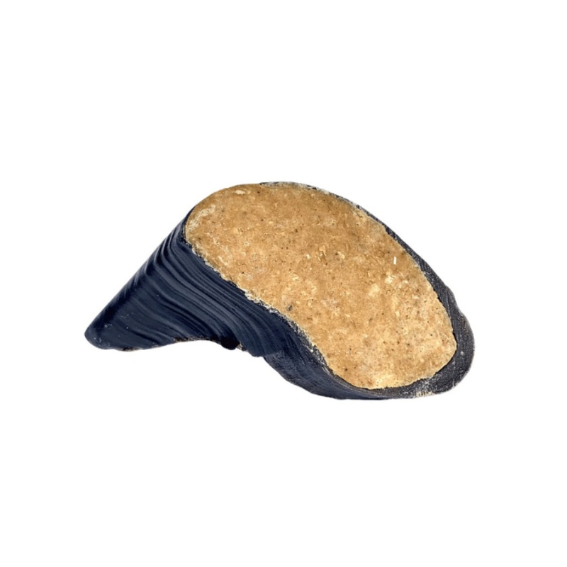 Sabot de boeuf farci - Bacon et fromage
