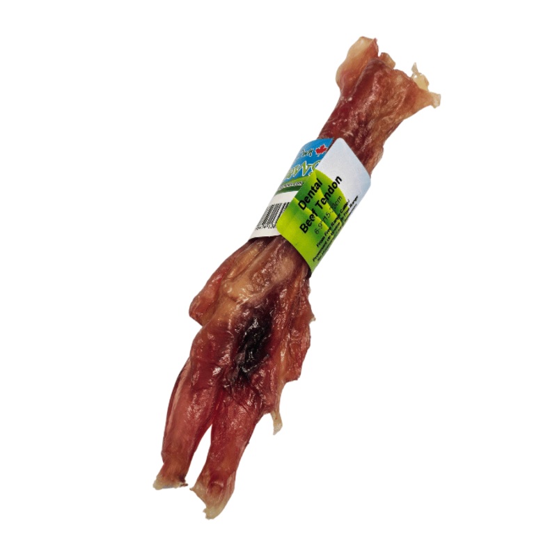 Tendon de boeuf 6  9''