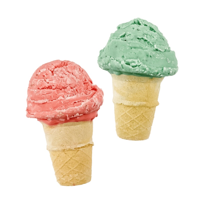 Biscuit pour chiens - Scoop, there it is! | Summer Eats