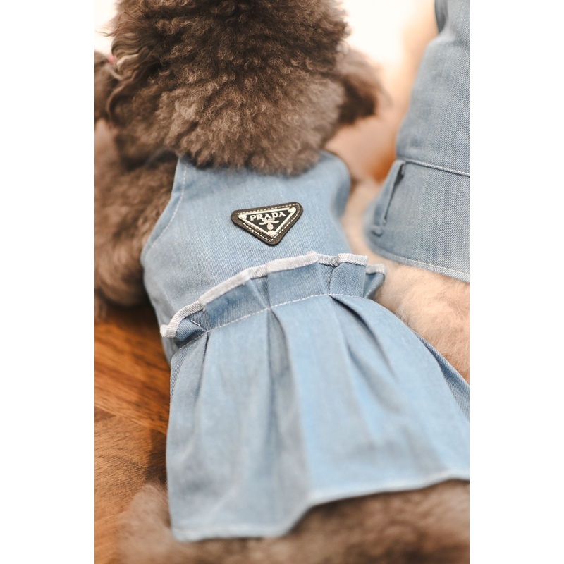 Pawda Denim Dress