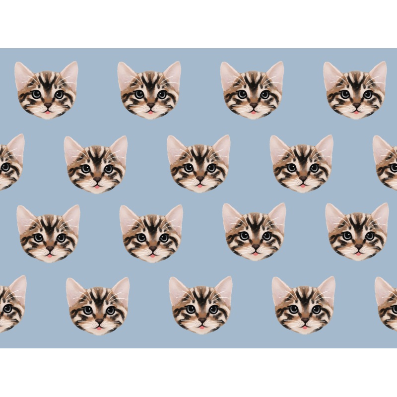 Brown Cat Pet Blanket