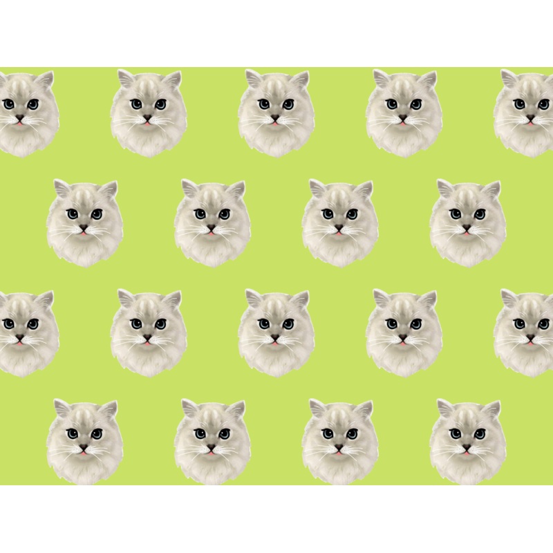 White Cat Pet Blanket