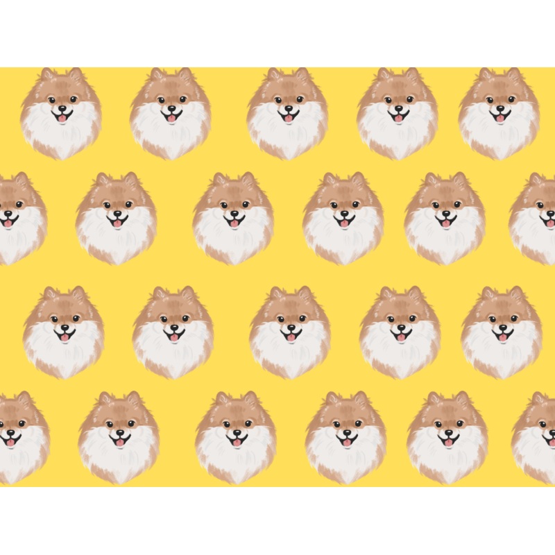 Choco Pomeranian Pet Blanket
