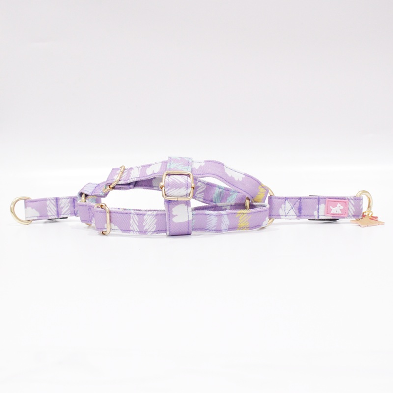 Dream Walk In Dog Harness