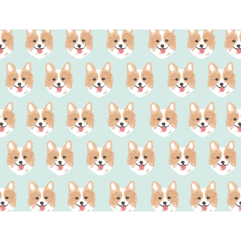 Corgy Pet Blanket