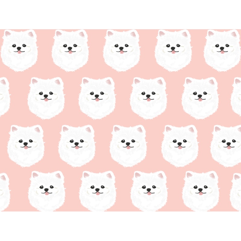 White Pomeranian Pet Blanket