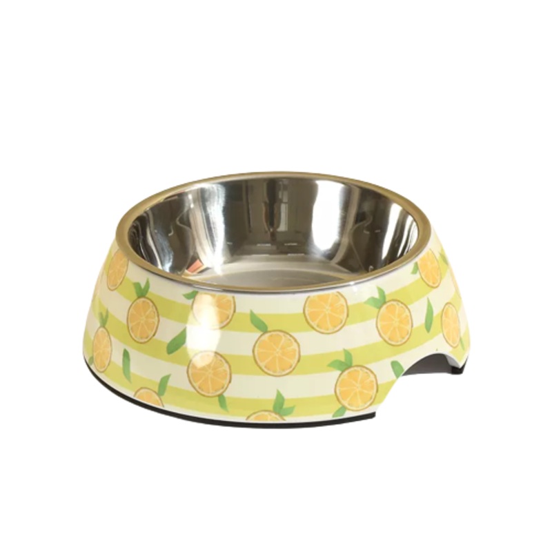 Melamine Pet Stainless Steel Bowl Printing Custom Single