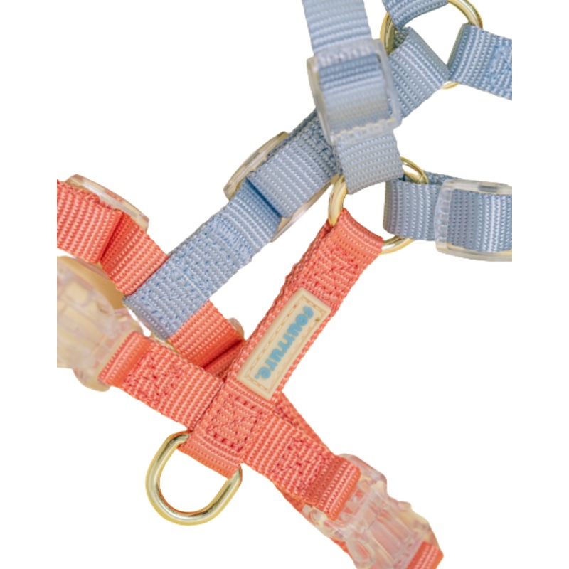 Fourrure Blue Orange Harness For Pets