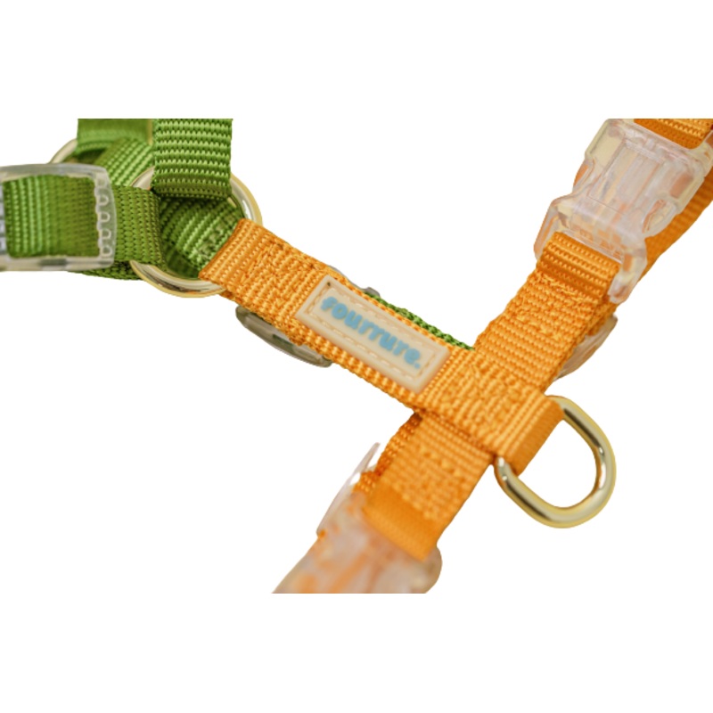 Fourrure Green Yellow Harness For Pets