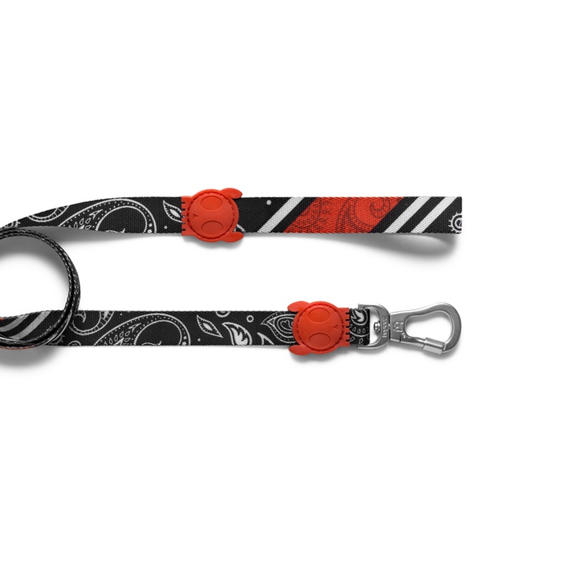 Paisley Leash