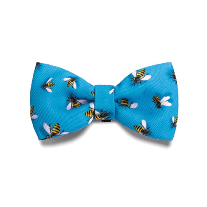 Buzz Bowtie