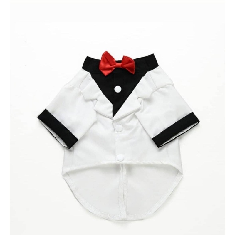 White Tuxedo For Pets