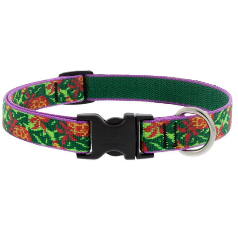 Lupine Adjustable Dog Collar 3/4" Wide x 15"-25" Pina Colada