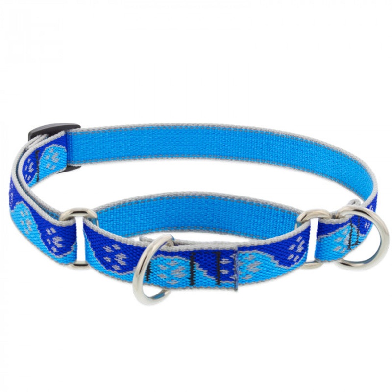 Lupine Dog Collar Martingale 3/4" Wide X 10"-14" Neck Size Blue Paws