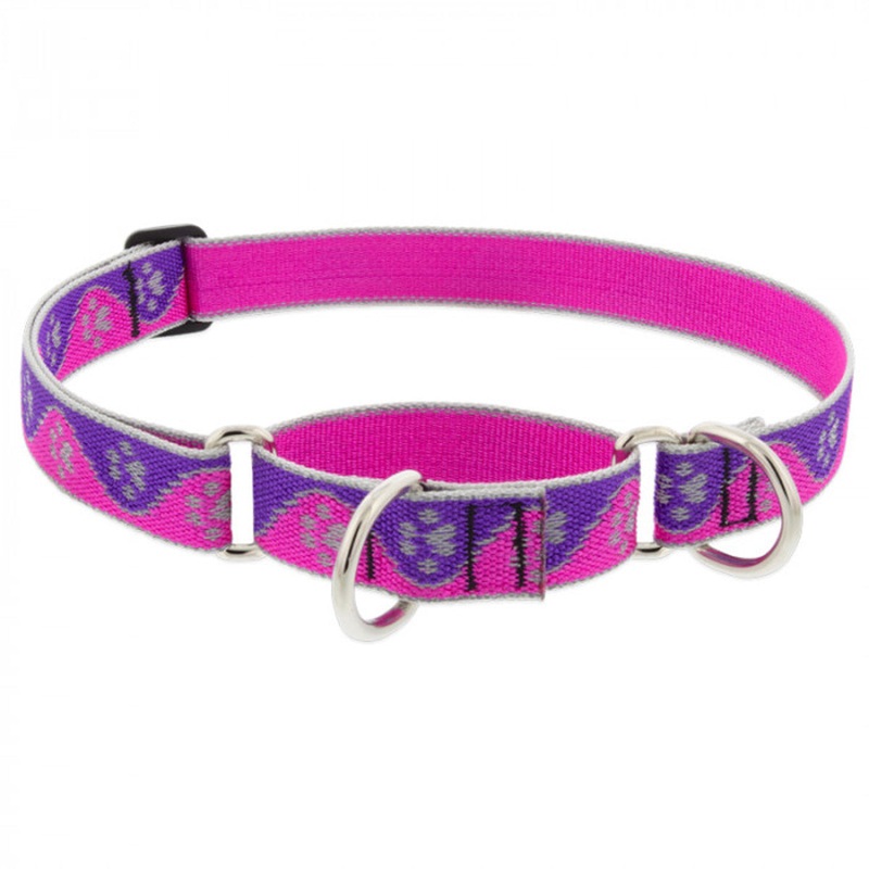Lupine Dog Collar Martingale 3/4" Wide X 10"-14" Neck Size Pink Paws